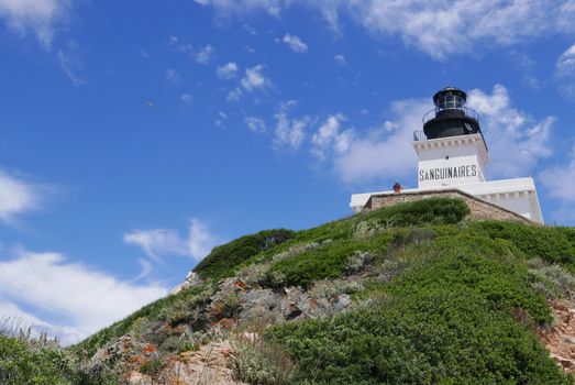 Holidays in southern Corsica.
Discovery of the Sanguinaires Islands, next to the city of Ajaccio