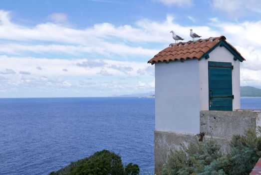 Holidays in southern Corsica.
Discovery of the Sanguinaires Islands, next to the city of Ajaccio