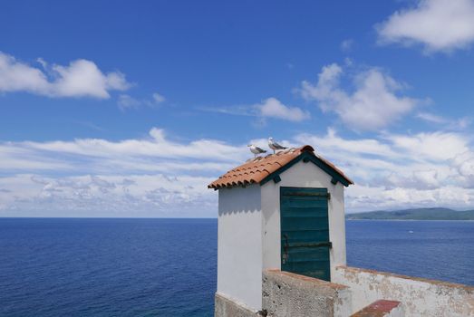 Holidays in southern Corsica.
Discovery of the Sanguinaires Islands, next to the city of Ajaccio