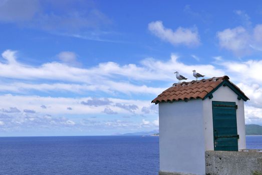 Holidays in southern Corsica.
Discovery of the Sanguinaires Islands, next to the city of Ajaccio