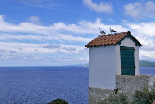 Holidays in southern Corsica.
Discovery of the Sanguinaires Islands, next to the city of Ajaccio