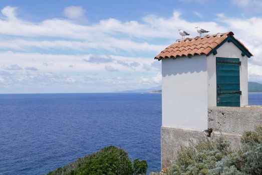 Holidays in southern Corsica.
Discovery of the Sanguinaires Islands, next to the city of Ajaccio