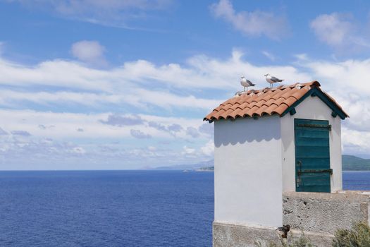 Holidays in southern Corsica.
Discovery of the Sanguinaires Islands, next to the city of Ajaccio