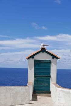 Holidays in southern Corsica.
Discovery of the Sanguinaires Islands, next to the city of Ajaccio