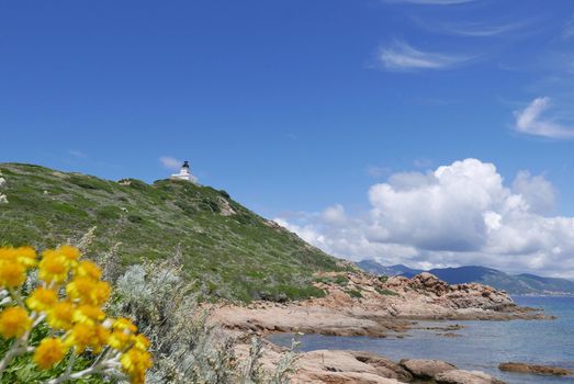 Holidays in southern Corsica.
Discovery of the Sanguinaires Islands, next to the city of Ajaccio