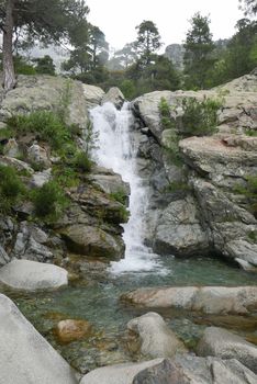 Holidays in southern Corsica.
Discover the mountain landscapes of this beautiful region of France