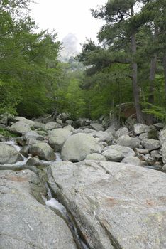 Holidays in southern Corsica.
Discover the mountain landscapes of this beautiful region of France