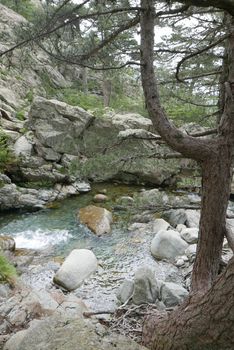 Holidays in southern Corsica.
Discover the mountain landscapes of this beautiful region of France