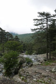 Holidays in southern Corsica.
Discover the mountain landscapes of this beautiful region of France