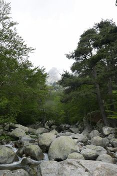 Holidays in southern Corsica.
Discover the mountain landscapes of this beautiful region of France