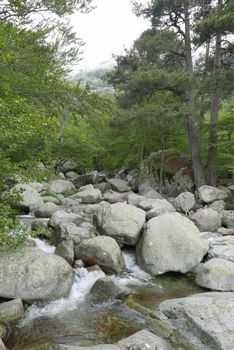Holidays in southern Corsica.
Discover the mountain landscapes of this beautiful region of France