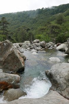 Holidays in southern Corsica.
Discover the mountain landscapes of this beautiful region of France