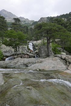 Holidays in southern Corsica.
Discover the mountain landscapes of this beautiful region of France