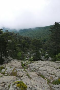 Holidays in southern Corsica.
Discover the mountain landscapes of this beautiful region of France