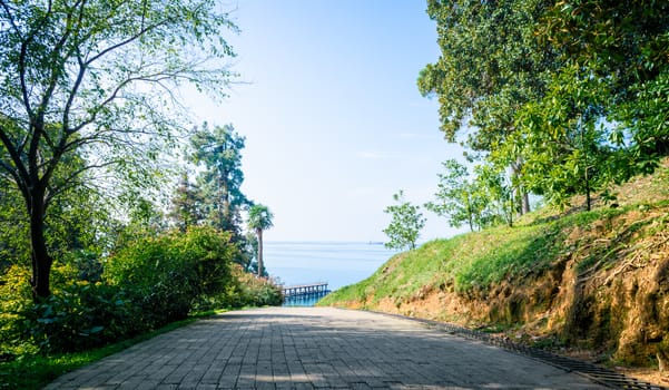 descent road in a park with green trees overlooking the sea in Georgia in the afternoon in autumn