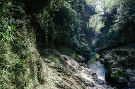 mountain river among stone rocks with green plants in the Martvili Canyon in Georgia in autumn