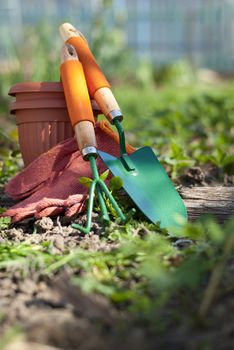 shovel, fork, gloves and clay pots in the garden on the lawn