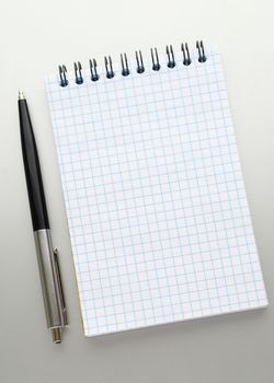 ballpoint pen and an open notebook