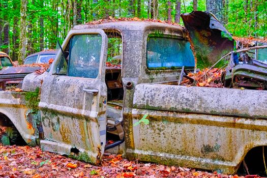 Old Abandoned Truck Pitted with Rust and Covered with Moss and Mildew