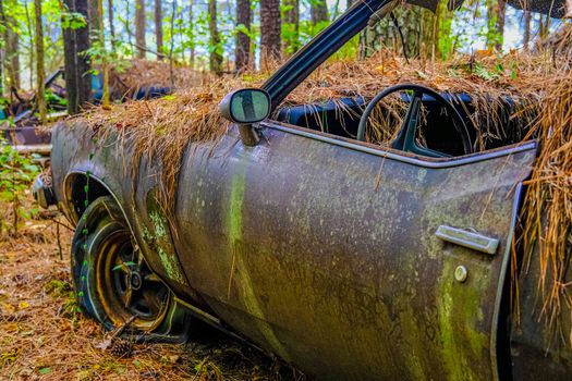 Pinestraw Covered Wrecked Car with Flat Tire