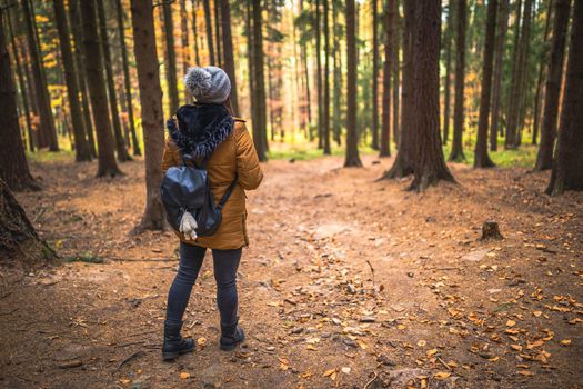 Young Traveler woman with backpack stand in forrest and enjoys nature and sunlight