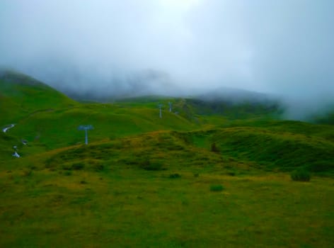 view of a green meadow during winter