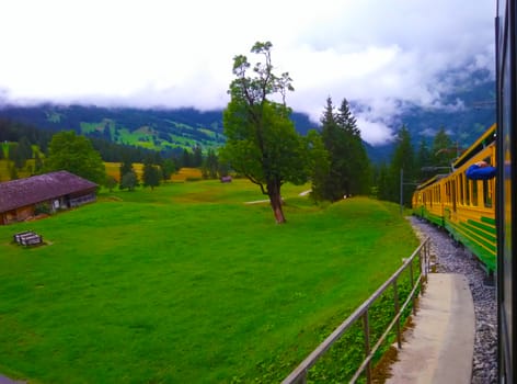 wayside view during a train journey