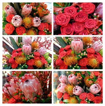 Bouquet roses and protea set. Luxury wedding bouquet with roses and protea. Exotic flower Protea Flowers for Valentine's Day, Mother's Day Bouquets.