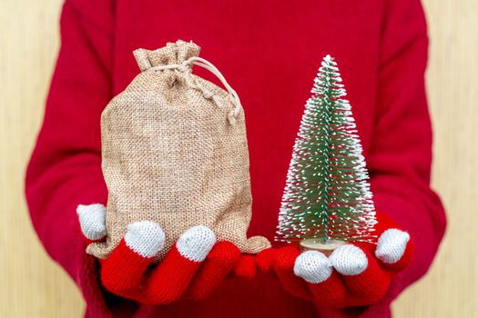 Christmas gifts bag in female hands. Red knitted gloves and a sweater.