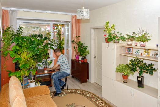 An elderly man in a bright room with home plants is engaged in his favorite hobby.