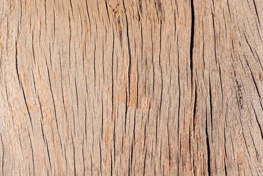 Old wood board, copy space wooden texture pattern background