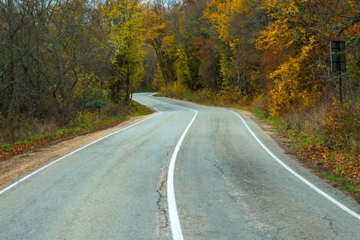 Empty road in the autumn forest in the mountains