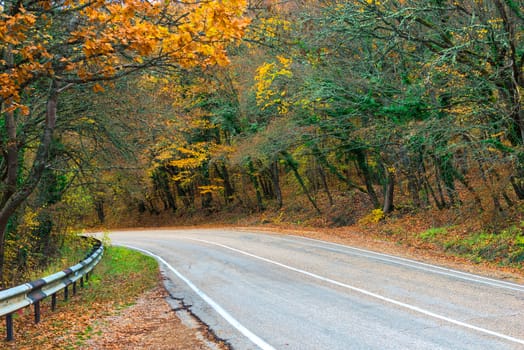 Autumn trees with yellow foliage along the mountain road