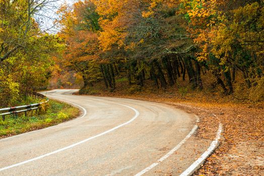 A curvy road in the mountains, beautiful autumn trees with yellow leaves