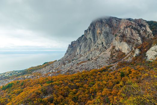 Autumn landscape, beautiful mountains, yellow plants and a calm sea