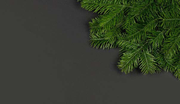Christmas border arranged with fresh fir branches on black paper background , copy space for text