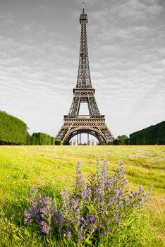 view of Eiffel Tower in Paris