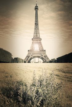 view of Eiffel Tower in Paris