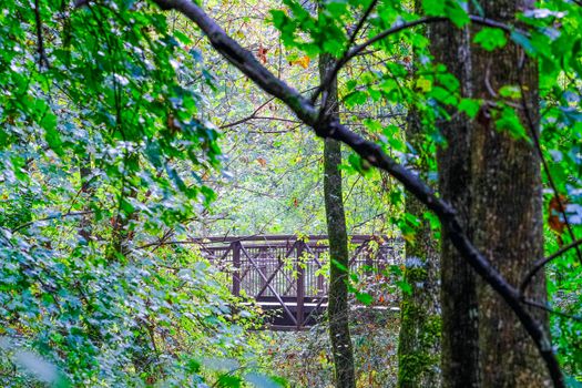 Fitness Trail Crossing an Iron Bridge Through Trees