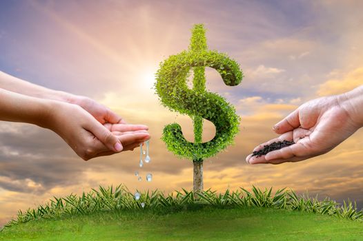 Money growth Saving money. Upper tree coins to shown concept of growing business