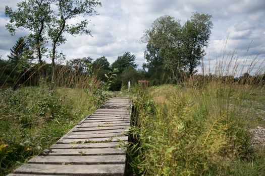 High Fens, Hautes Fagnes, at the eifel national park, germany