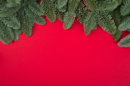 Christmas fir tree branches decor border frame on red background with copy space for text