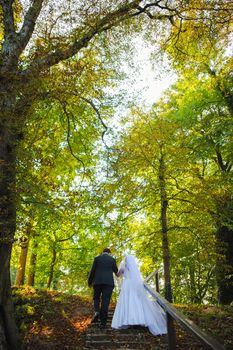 Bride and groom at a photo session in the nature.