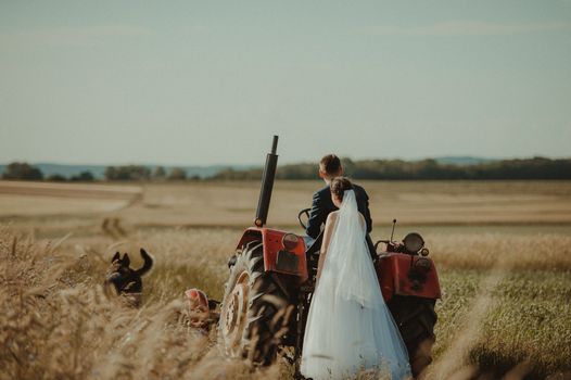 Bride and groom at a photo session in the nature.
