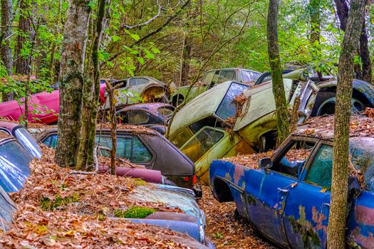 Pile of Wrecked Cars in Woods in a Junkyard
