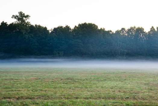 World environment day concept: Calm of country meadow sunrise landscape background.