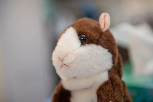 Hamster soft toy on a white background