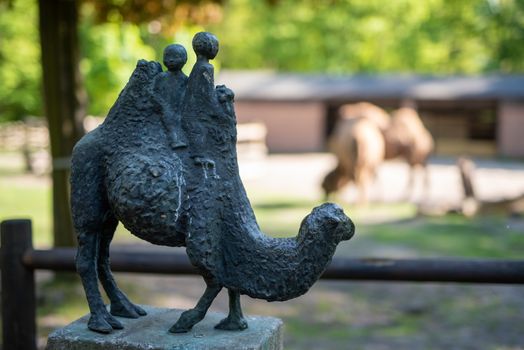 Image of the camel and th young one taken in park.