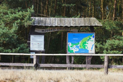 information boards in the forest. copy space. summer time.