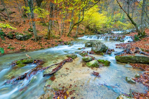 fast mountain river in the gorge, autumn nature, beautiful landscape